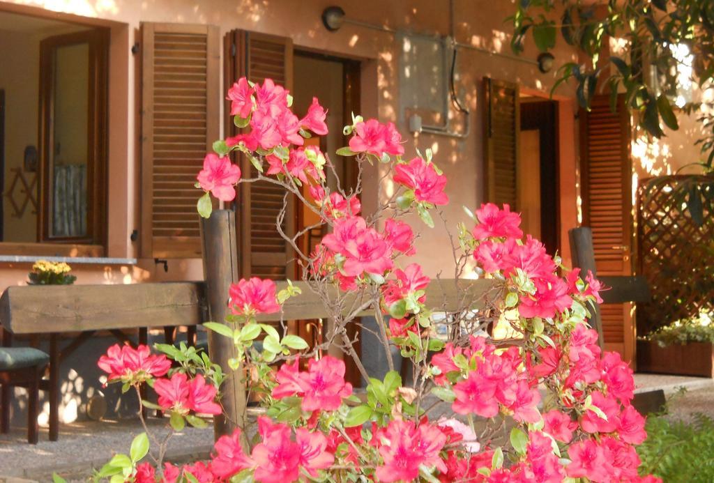 B&B Il Cortile Malpensa Casorate Sempione Habitación foto