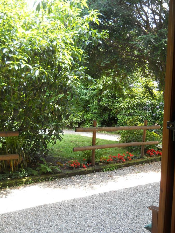 B&B Il Cortile Malpensa Casorate Sempione Exterior foto